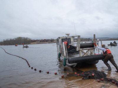 DNR Working With Multiple Agencies To Remove Invasive Carp From Mississippi River Oct. 25-29