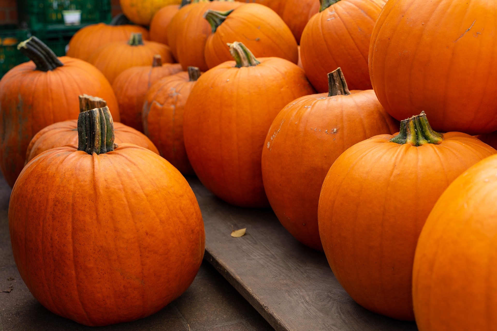 Pumpkins. (Pixabay License).
