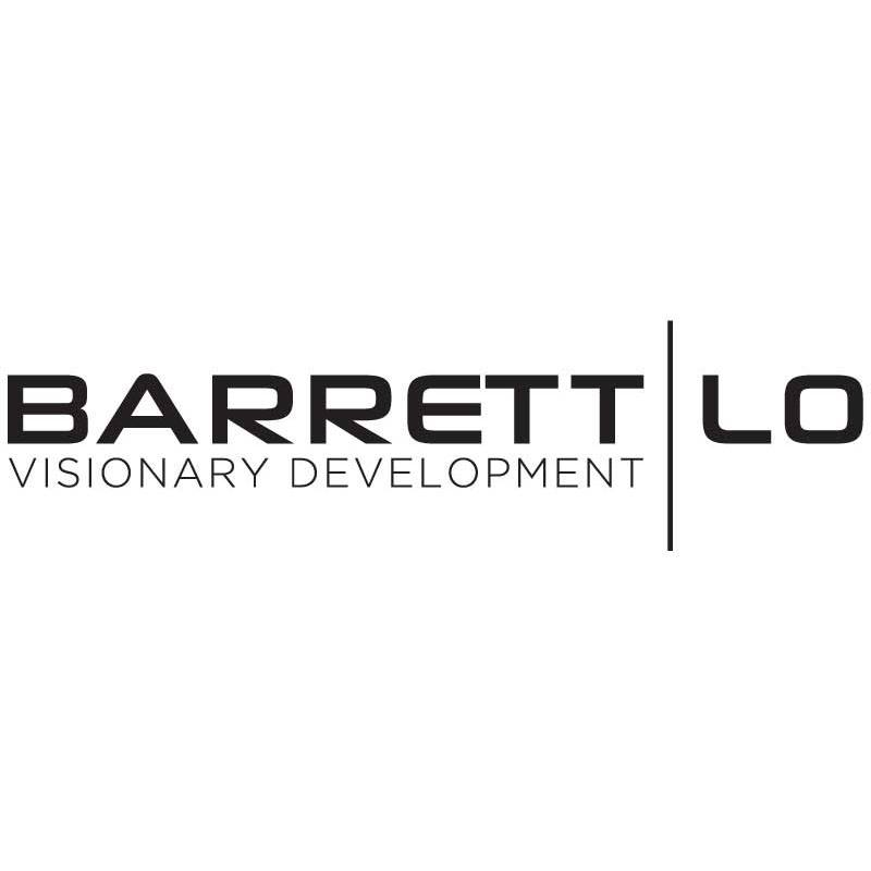 Barrett Lo Visionary Development