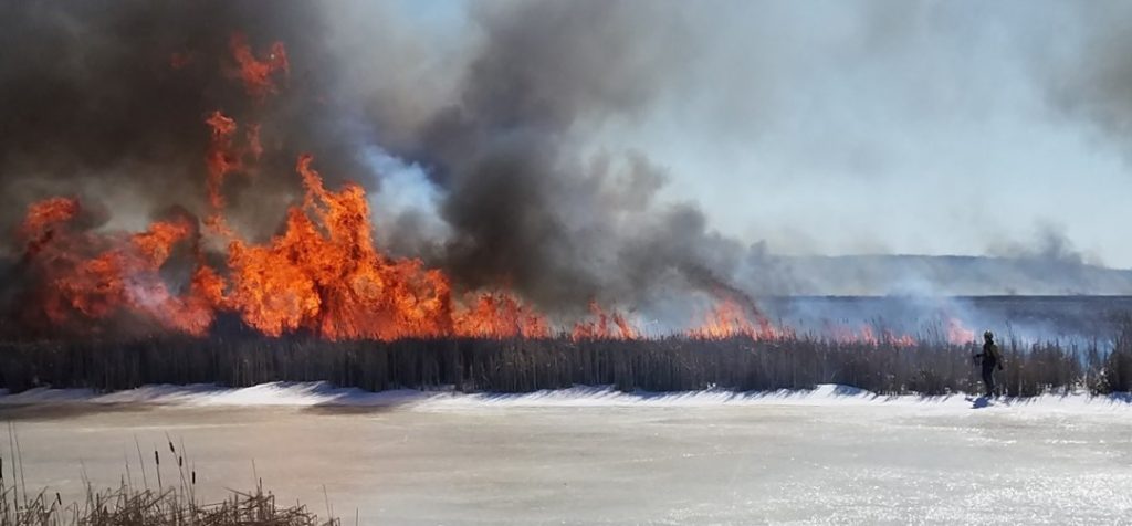 A prescribed burn taking place at Vernon Marsh in Waukesha County in late January 2021. / Photo Credit: Wisconsin DNR