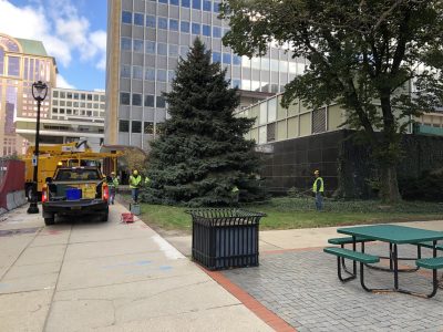 City Hall: Official Milwaukee Christmas Tree Becoming Art, Beer and Mulch