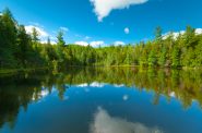 Forbes Springs, Oconto County. Photo by Joshua Meyer (CC BY-SA 2.0) https://creativecommons.org/licenses/by-sa/2.0/