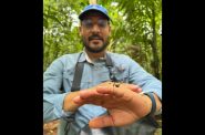 Third-grade teacher Blas Antimo Perez of Milwaukee poses with a spider in the rainforest of Panama. He's part of a research project called the Panama Experience that sponsors Milwaukee Public School teachers on research trips to central America. Photo courtesy of Gabriel Dally/WPR.