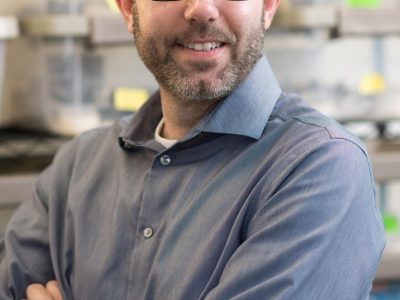 Marquette University biological sciences professor receives $1.17M NSF grant to study sex chromosome evolution in lizards and snakes