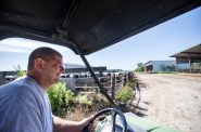Brent Sinkula drives around his farm Thursday, Aug. 18, 2022, in Two Rivers, Wis. Angela Major/WPR