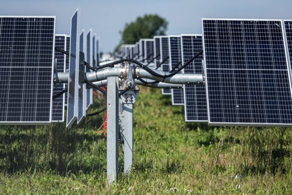 Solar panels in Brent Sinkula’s fields are on hinges and move to face the sun throughout the day Thursday, Aug. 18, 2022, in Two Rivers, Wis. Angela Major/WPR