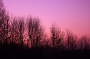 Purple skies over Kettle Moraine State Forest - Pike Lake Unit. Photo by Yinan Chen, Public Domain, via Wikimedia Commons.