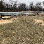 MKE County: County Parks Fights Ash Borer With Reforestation