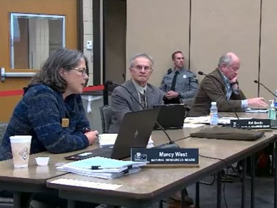 Marcy West, far left, calls on Fred Prehn, far right, to reconsider his decision to remain on the Natural Resources Board. Screenshot of Natural Resources Board meeting/WPR.