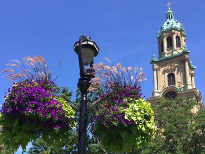 Help Beautify Cathedral Square