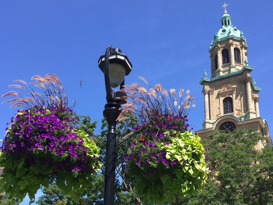 Hanging flower baskets. Photo courtesy of Cathedral Square Friends.