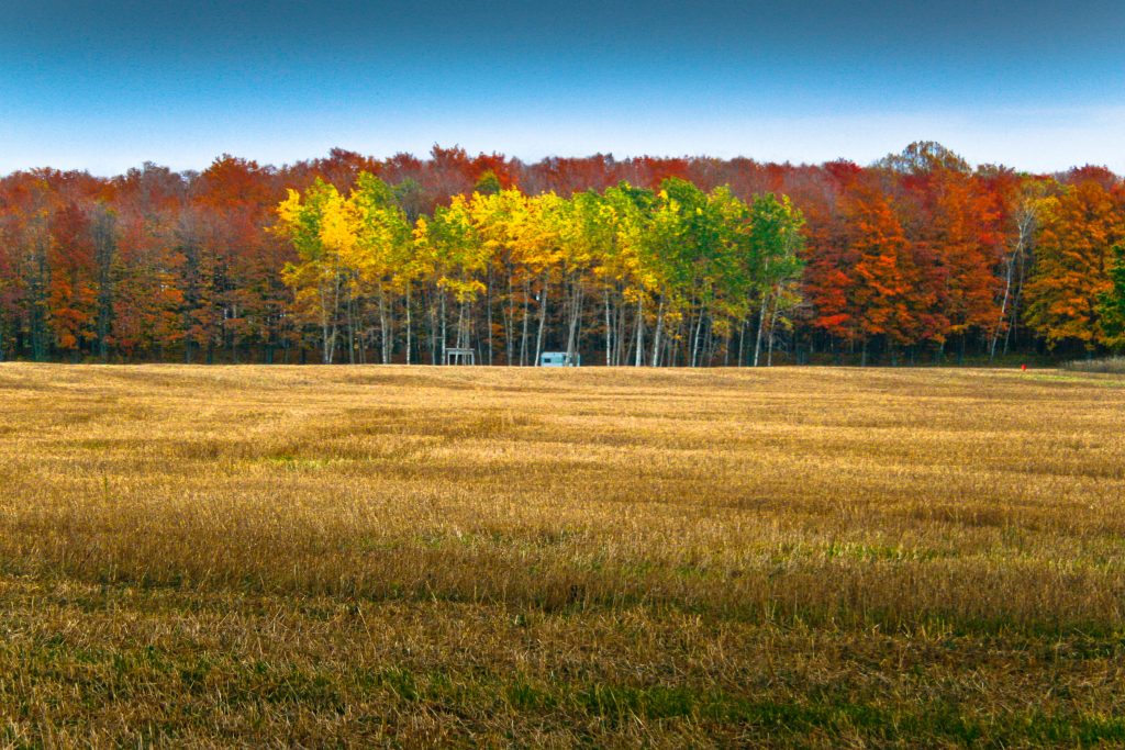 Autumn Landscape of Door County, Wisconsin. Photo by Leif and Evonne, CC BY 2.0 , via Wikimedia Commons