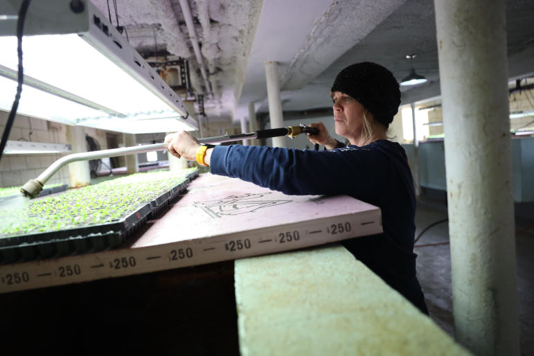Sarah Bressler, Farm Manager, waters lettuce seedlings at the Hunger Task Force Farm in Franklin, Wis., on March 1, 2022. The nonprofit organization distributes the produce to food pantries, homeless shelters, low income senior living sites and soup kitchens. (Coburn Dukehart / Wisconsin Watch)