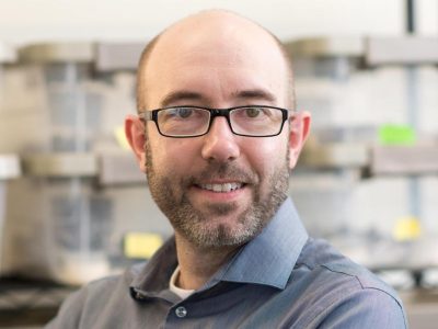 Marquette biological sciences professor receives $1.1 million NSF subaward as part of research team studying aging differences between females and males