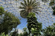 Mitchell Park Domes' Tropical Dome. Photo by Jeramey Jannene.