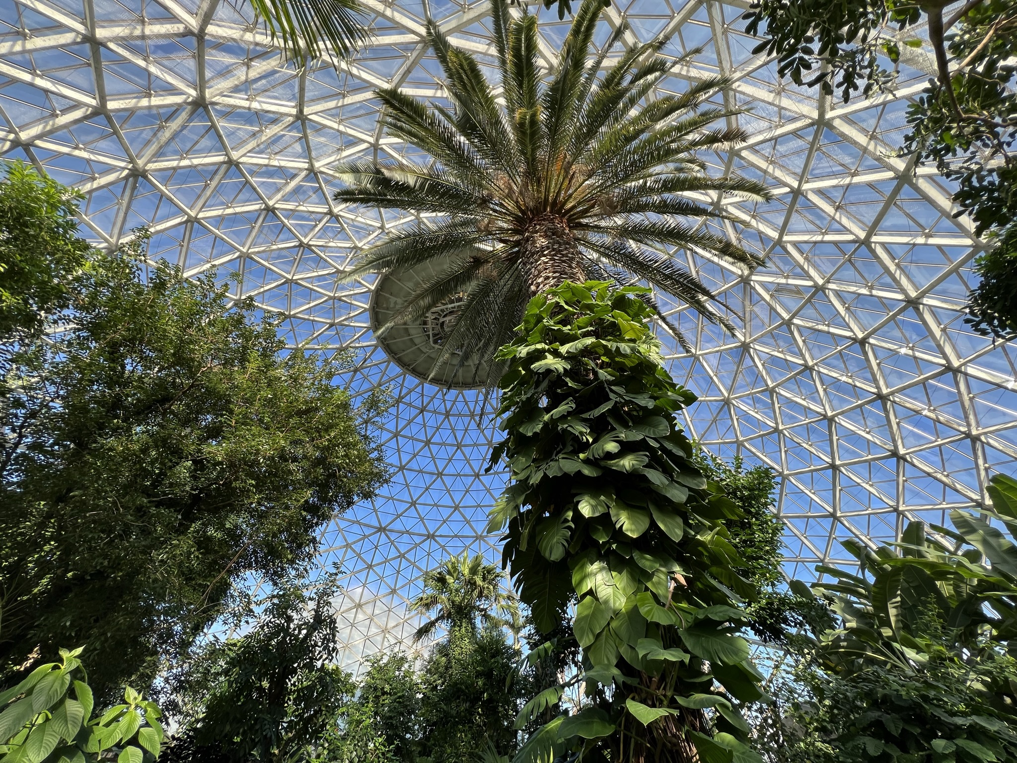 Mitchell Park Domes' Tropical Dome. Photo by Jeramey Jannene.