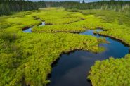 The Conservation Fund purchased 70,000 acres of the Pelican River Forest in northern Wisconsin from the investment firm The Forestland Group. The purchase aims to set aside land for recreational use and logging for years to come. Jay Brittain/The Conservation Fund