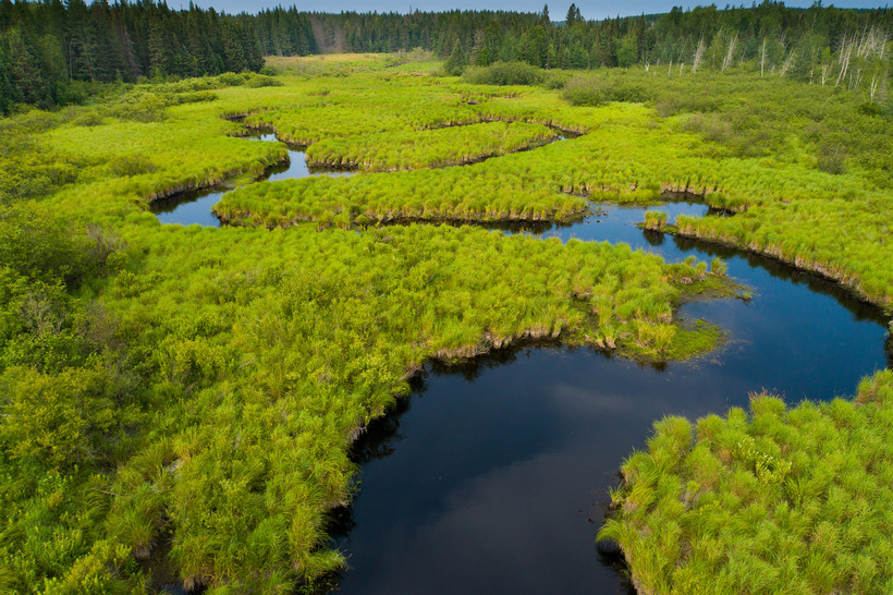 The Conservation Fund purchased 70,000 acres of the Pelican River Forest in northern Wisconsin from the investment firm The Forestland Group. The purchase aims to set aside land for recreational use and logging for years to come. Jay Brittain/The Conservation Fund
