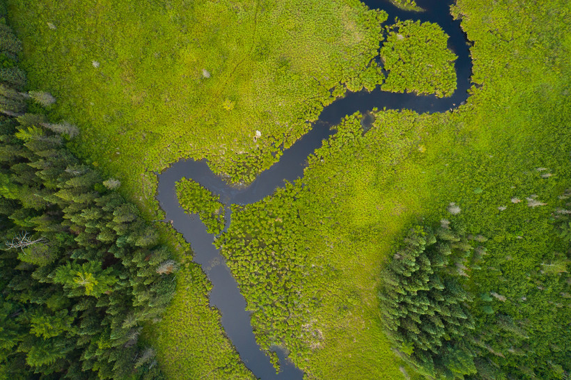 The Pelican River area in Wisconsin. The Pelican River Forest includes 68 miles of streams and 27,000 acres of forested wetlands. Photo by Jay Brittain/The Conservation Fund