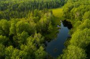 The Pelican River Forest will be used for sustainable forest management. The Conservation Fund plans to protect wildlife and water quality habitat through conservation easements with the Wisconsin DNR. Photo by Jay Brittain/The Conservation Fund