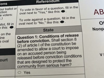 Op Ed: Referendums on Ballot Are Confusing
