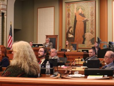 Kenosha Residents Denounce Board Appointments Connected To 2020 Unrest