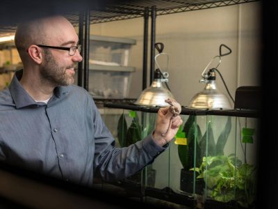 Marquette biological sciences professor receives R01 funding from NIH to expand genome editing tools in lizards