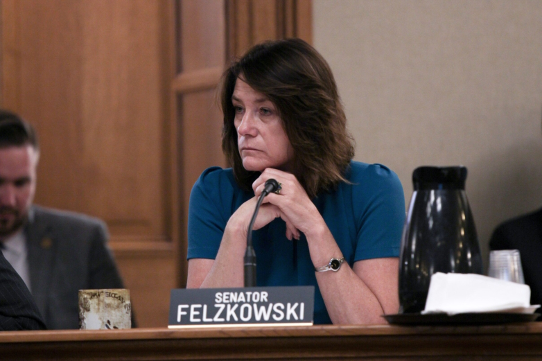 State Sen. Mary Felzkowski. Drake White-Bergey/Wisconsin Watch.
