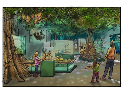 Public Museum Releases Details for new Rainforest Gallery, Butterfly Vivarium