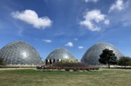 Mitchell Park Domes. Photo taken Aug. 15, 2022 by Mariiana Tzotcheva.