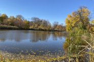 Inside Washington Park, the lagoon. Photo taken Nov. 1. 2022 by Cari Taylor-Carlson.