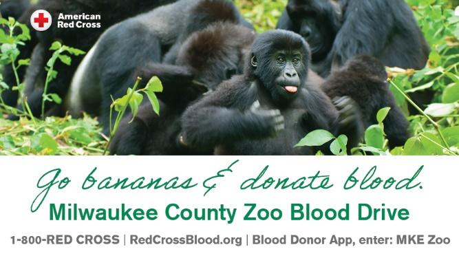 Milwaukee County Zoo offering free same-day admission, parking and two free Summerfest tickets in exchange for blood donations