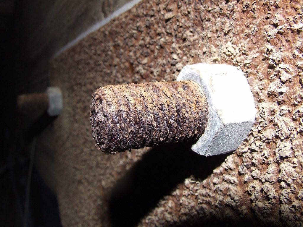 Rusty bolt. Thester11, CC BY-SA 3.0 <https://creativecommons.org/licenses/by-sa/3.0>, via Wikimedia Commons