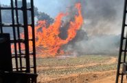 The pallet fire in Waushara County burned roughly 730 acres in July. Photo courtesy of the Wisconsin Department of Natural Resources