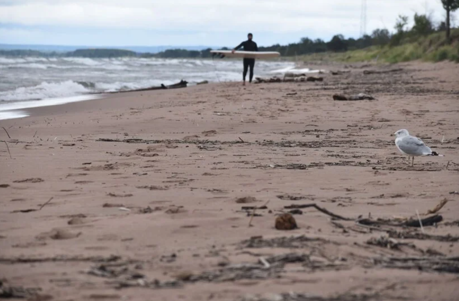 A surfer and a seagull walk along a Lake Superior beach in Duluth on Sept. 7, 2023. Water levels on the lake are still above their long-term average, but they rose little during the summer due to dry conditions. Danielle Kaeding/WPR
