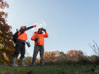 DNR Seeks Hunter Participation In Statewide Deer Hunter Wildlife Survey