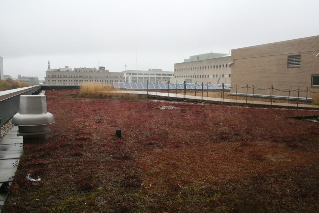A green roof and solar panels atop the Central Library in 2013. Photo by Jeramey Jannene.