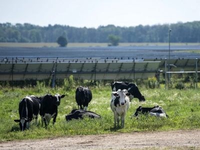 Bill Would Strip Conservation Tax Credits From Farmers With Solar Installations