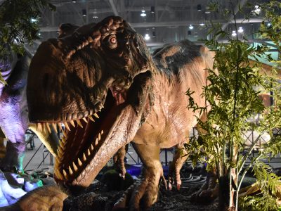 Entertainment: Dinosaurs, RVs and Owls Bring In The New Year