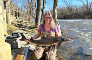 Cheryl Masterson, WDNR fisheries supervisor with the Lake Michigan-South team, holds an adult lake sturgeon captured during a dip net survey in the Milwaukee River. Photo courtesy of Aaron Schiller from his “Lake Sturgeon Rehabilitation | Milwaukee River, WI” 2023 presentation.