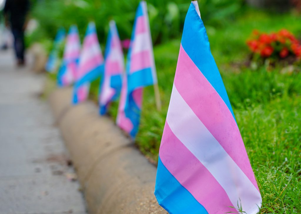 Transgender pride flags line the sidewalk in Washington, D.C. Ted Eytan (CC BY-SA)