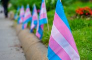 Transgender pride flags line the sidewalk in Washington, D.C. Ted Eytan (CC BY-SA)