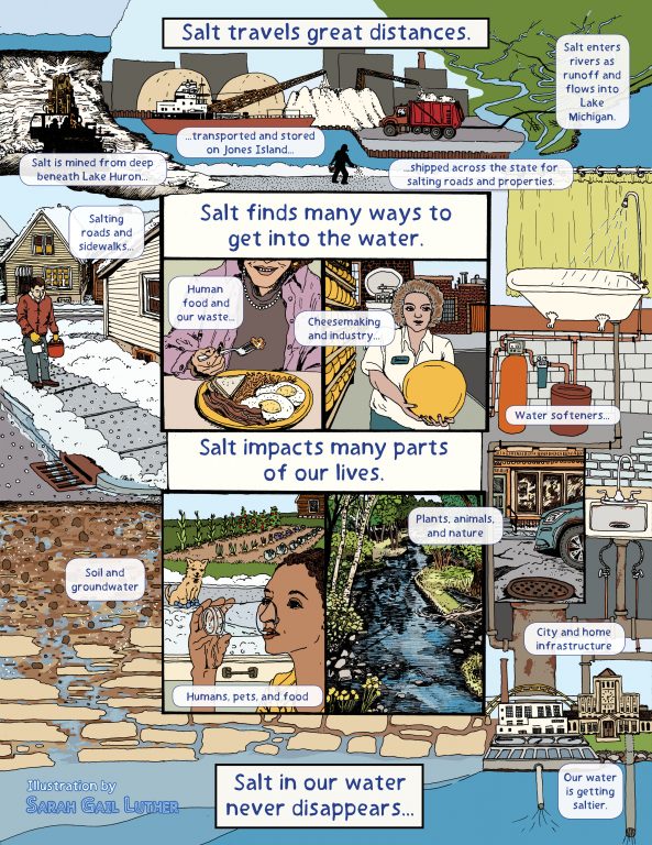 An overview of salt sources, pathways, and impacts for Milwaukee and our waters based on SEWRPC chloride impact reports and independent research, 2024. For printable one-pagers, visit https://refloh2o.com/water-stories. Illustration by Sarah Gail Luther.