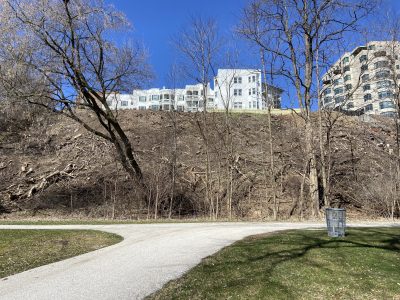 MKE County: Who’s Clear Cutting The Lake Bluff?