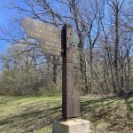 MKE County: Cudahy Nature Preserve Receives Old-Growth Forest Designation