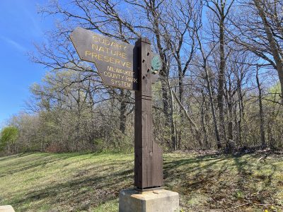 MKE County: Cudahy Nature Preserve Receives Old-Growth Forest Designation