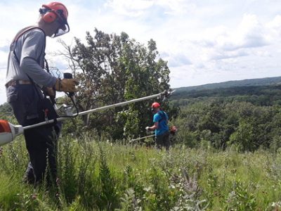 Volunteer With The DNR To Protect And Enhance Wisconsin’s Natural Resources