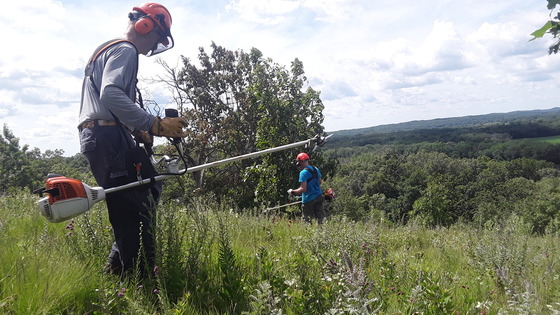 Volunteer With The DNR To Protect And Enhance Wisconsin’s Natural Resources