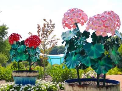 MKE County: Boerner Botanical Gardens Opening 50th Summer Season