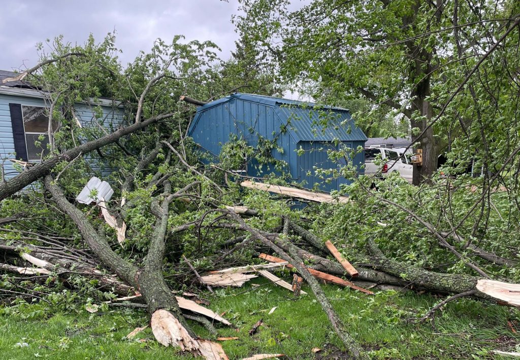 Downed trees cover a roof and shed in Unity, Wis., west of Wausau, after a tornado touched down on Tuesday, May 21, 2024. Rob Mentzer/WPR